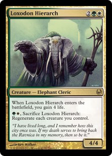 Loxodon Hierarch - Creature - Cards - MTG Salvation