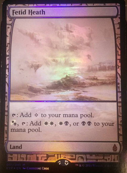 Fetid Heath - Land - Cards - MTG Salvation